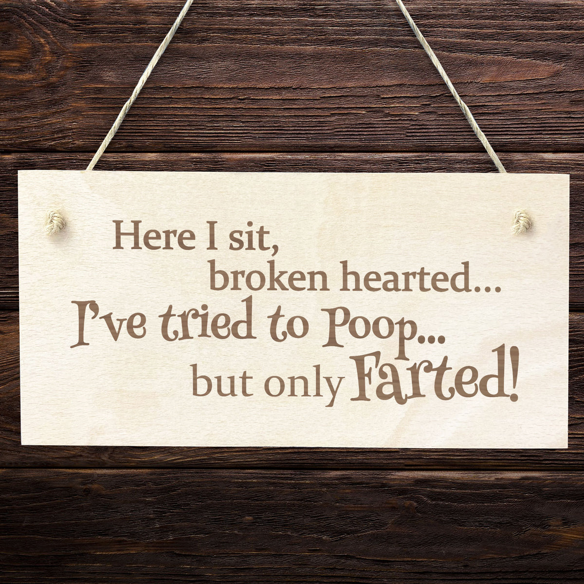 Funny Joke Engraved Wooden Toilet Bathroom Wall Sign Plaque