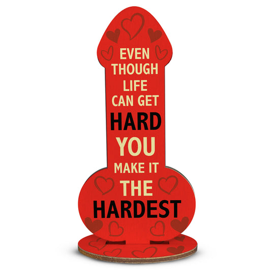 Funny Gift For Girlfriend Wife Novelty Joke Gift Plaque Birthday