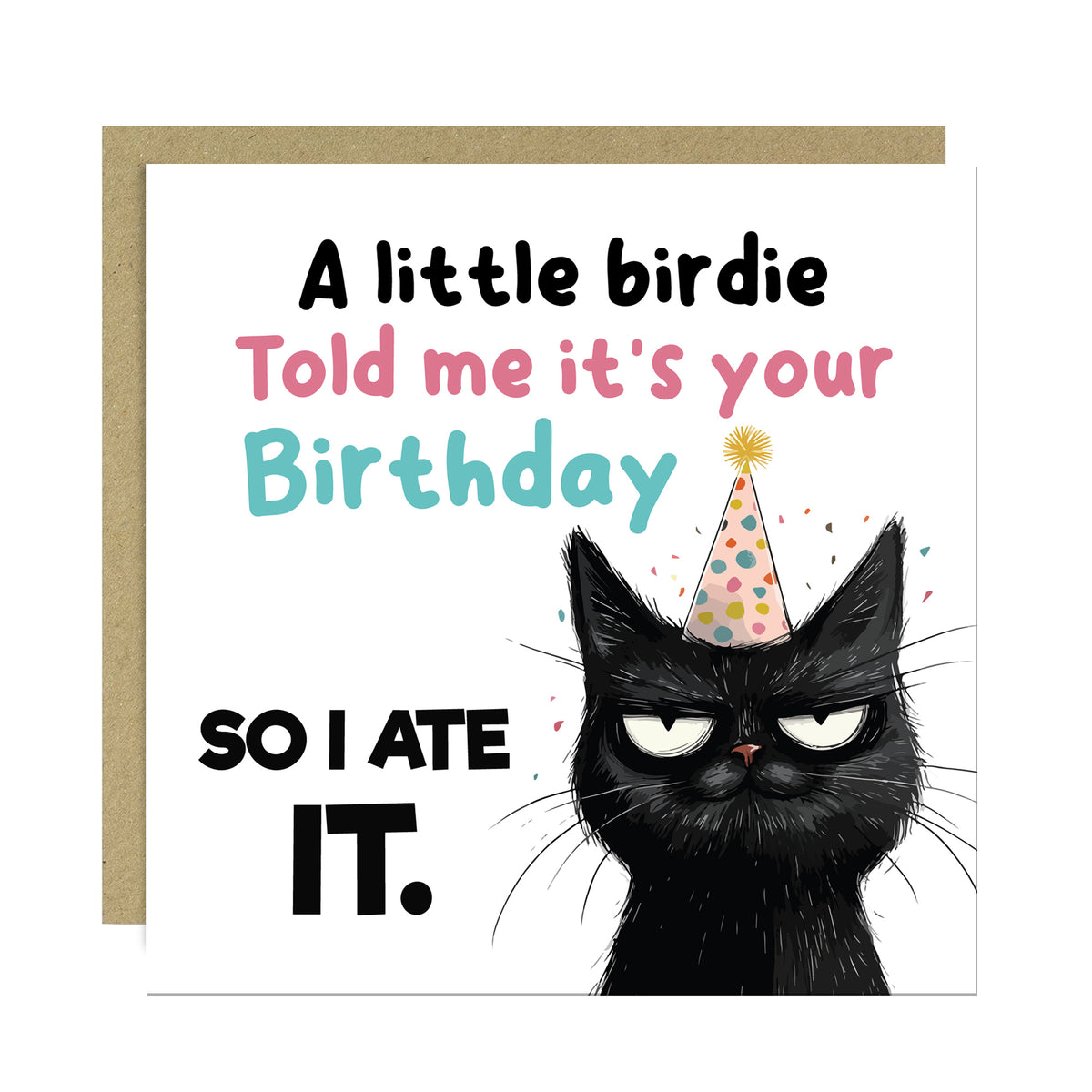 Humorous Birthday Card Happy Birthday Greetings Card Novelty