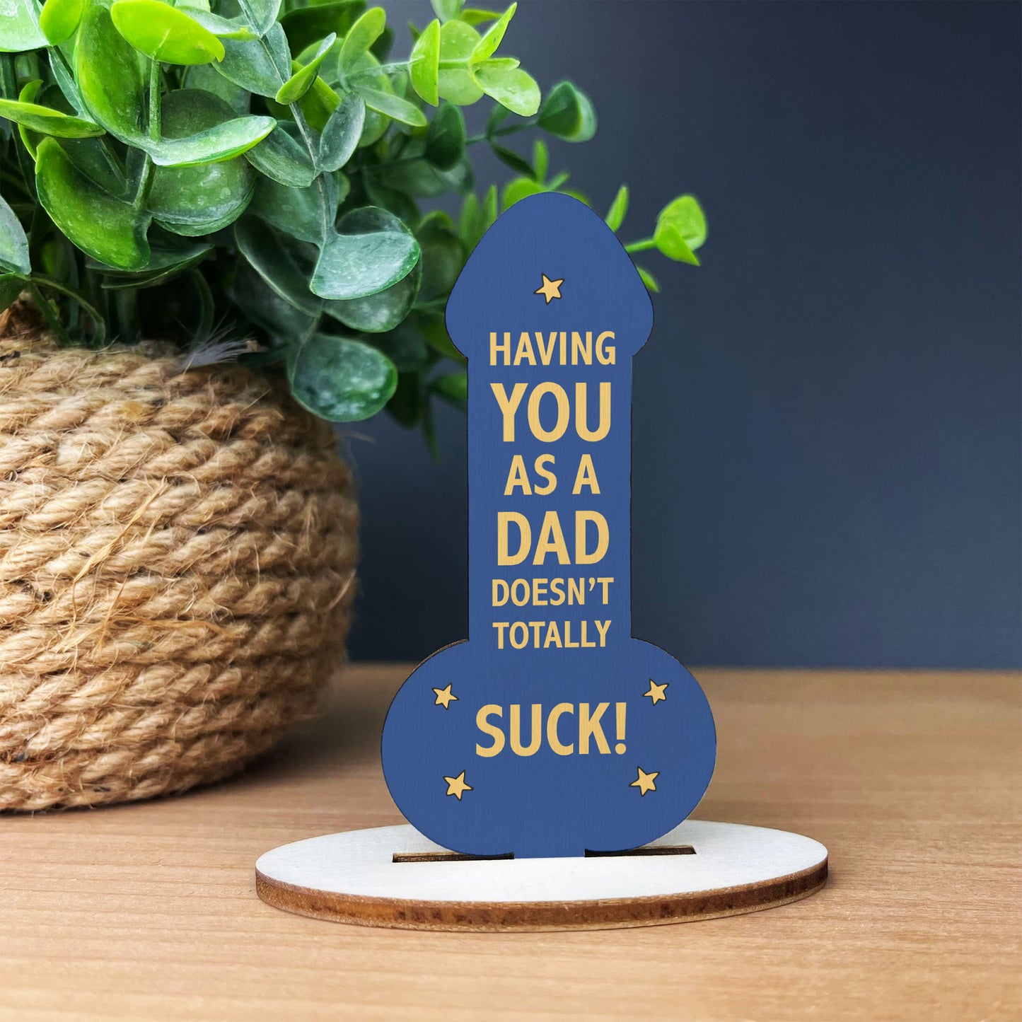 FUNNY GIFT FOR DAD Gift For Dad Birthday Christmas Fathers Day