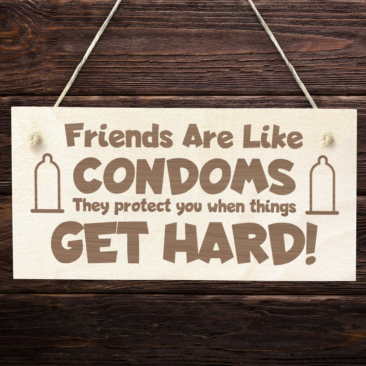 Funny Friendship Plaque Wood Sign Gift For Friends Cheer Up