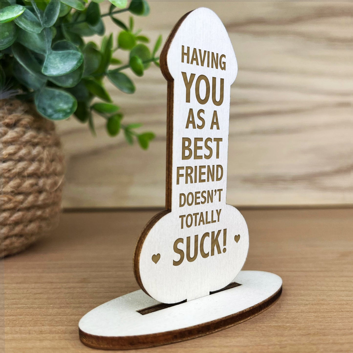 Novelty Gift For Friend Thank You Best Friend Funny Birthday