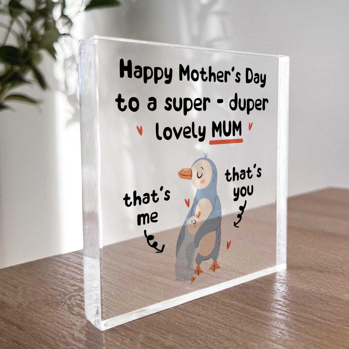 Mothers Day Gifts For Mum From Daughter Son Funny Gift For Mum