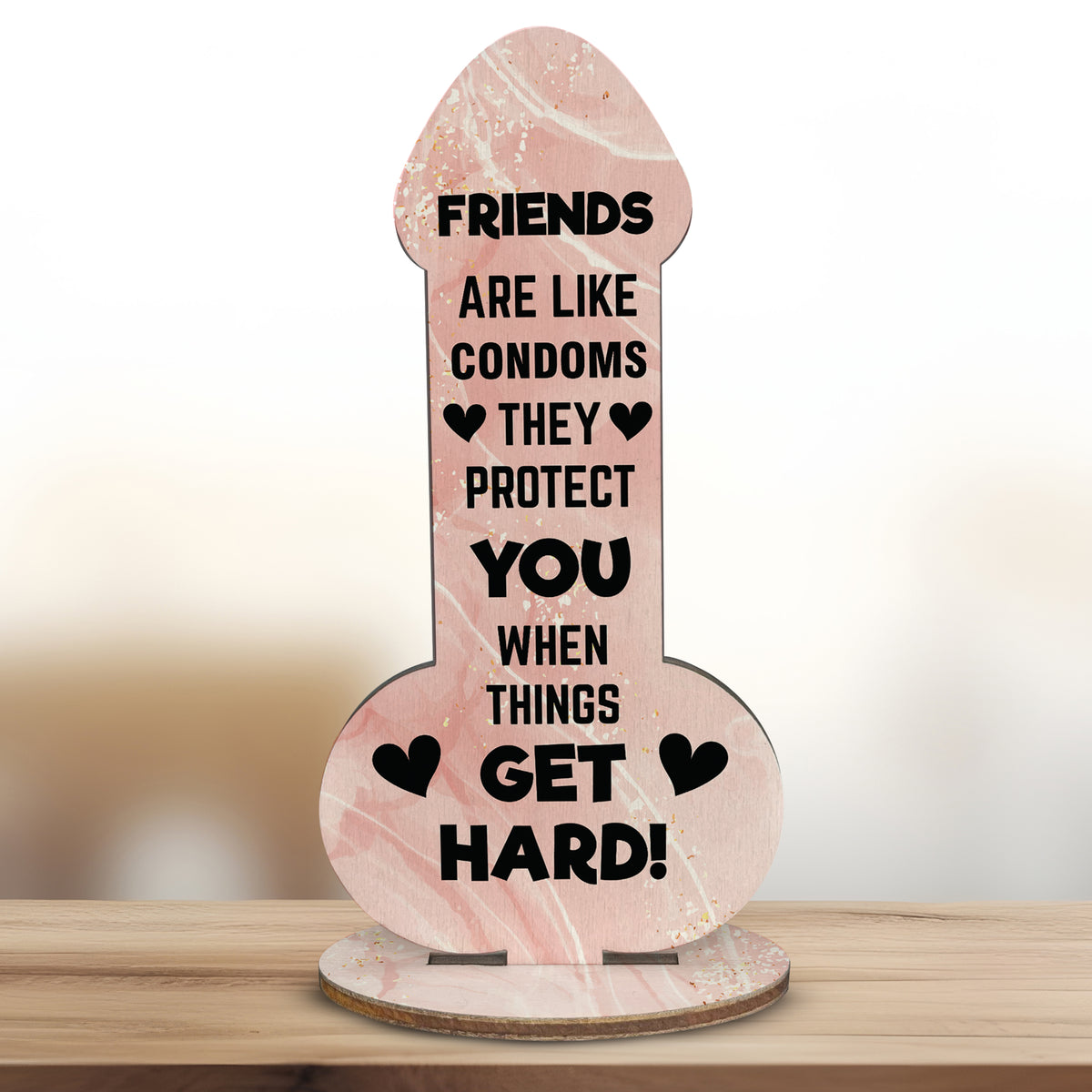 Funny Rude Friendship Plaque Novelty Christmas Birthday Gift