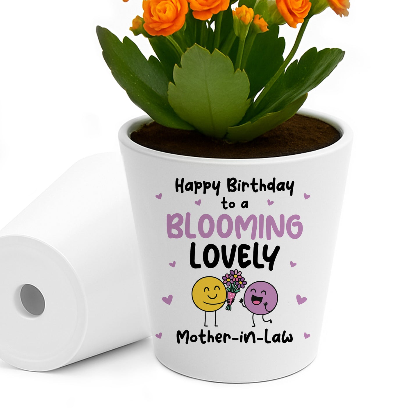 Birthday Gift For Mother In Law BLOOMING LOVELY MOTHER IN LAW