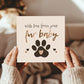Happy Birthday Card From Your Fur Baby Birthday Card From Dog