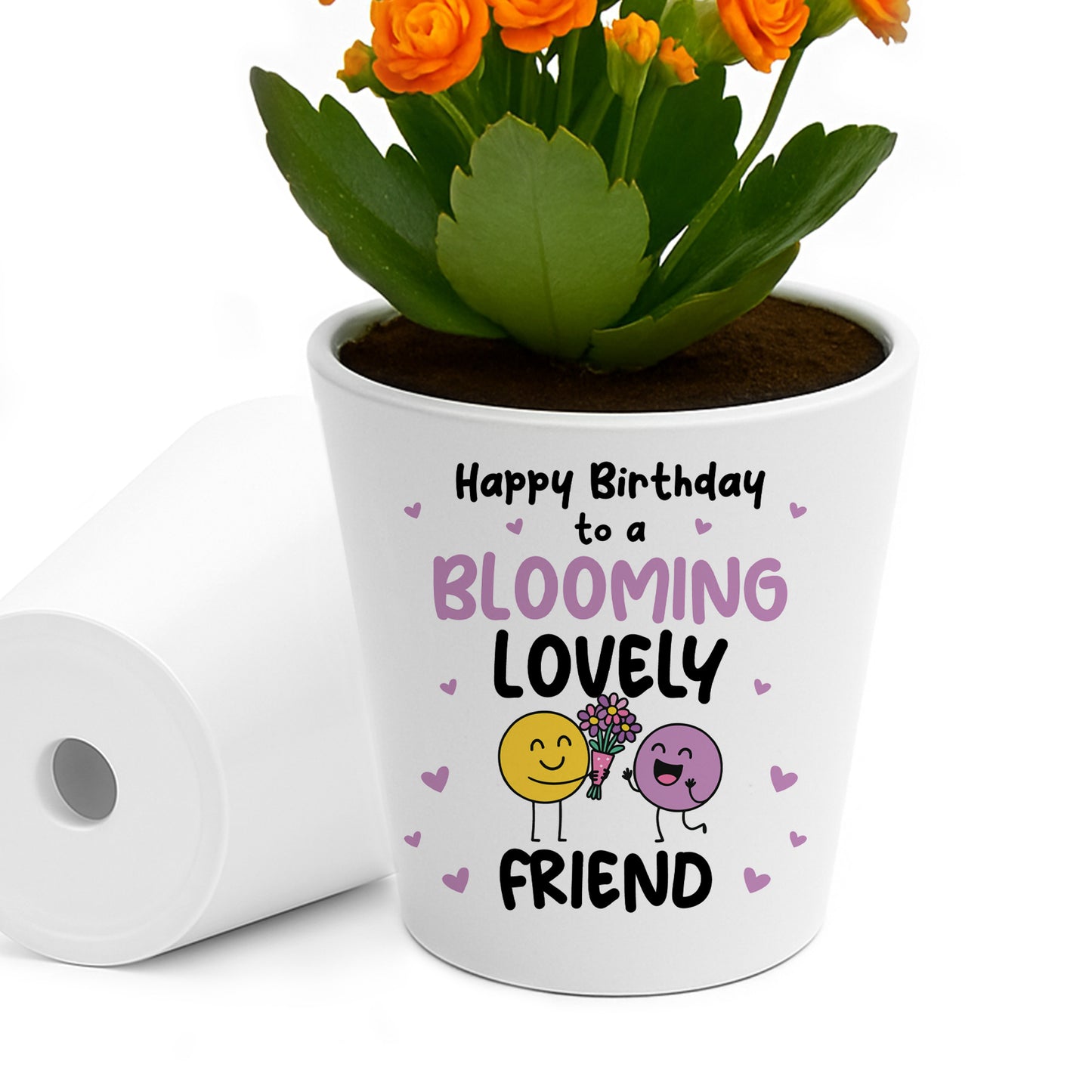 Birthday Gift For Friend BLOOMING LOVELY FRIEND Card Plant Pot