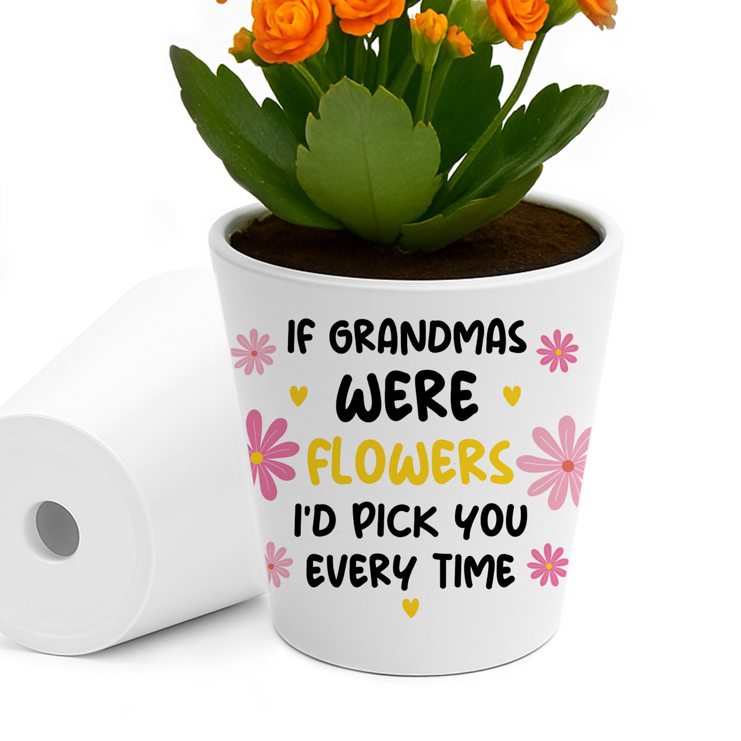 Gift For Grandma Birthday Christmas Card And Flower Pot