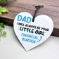 Funny Joke Dad Gift From Daughter Daddys Little Girl Plaque