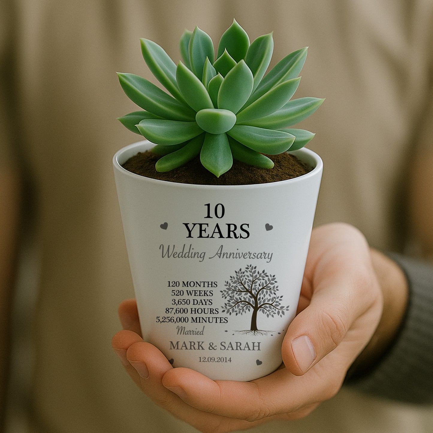 Personalised 10th Anniversary Gift Husband Wife Wedding Plant Po