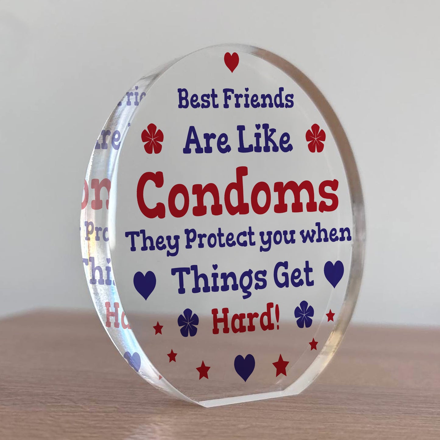 Funny Best Friend Gift Acrylic Plaque Funny Gift For Birthday