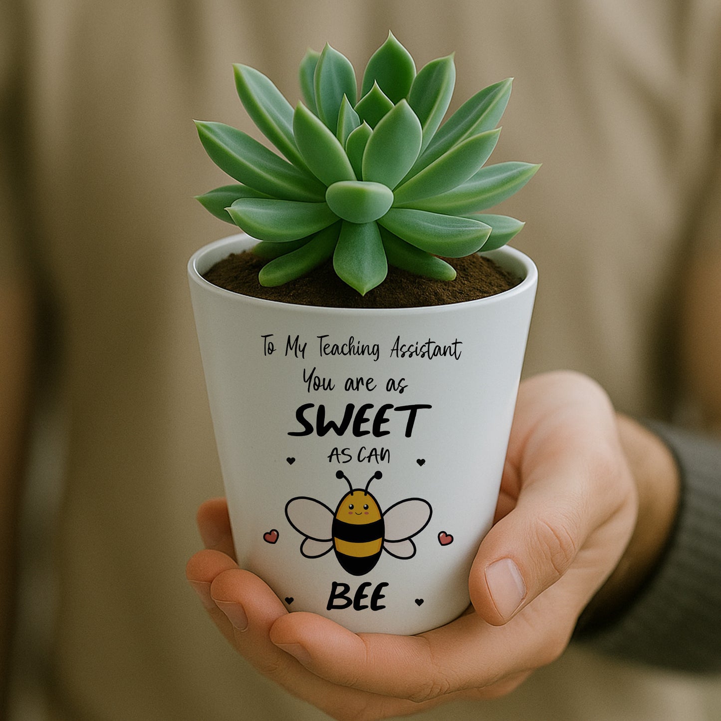 To My Teaching Assistant Thank You Gifts For TA Plant Pot