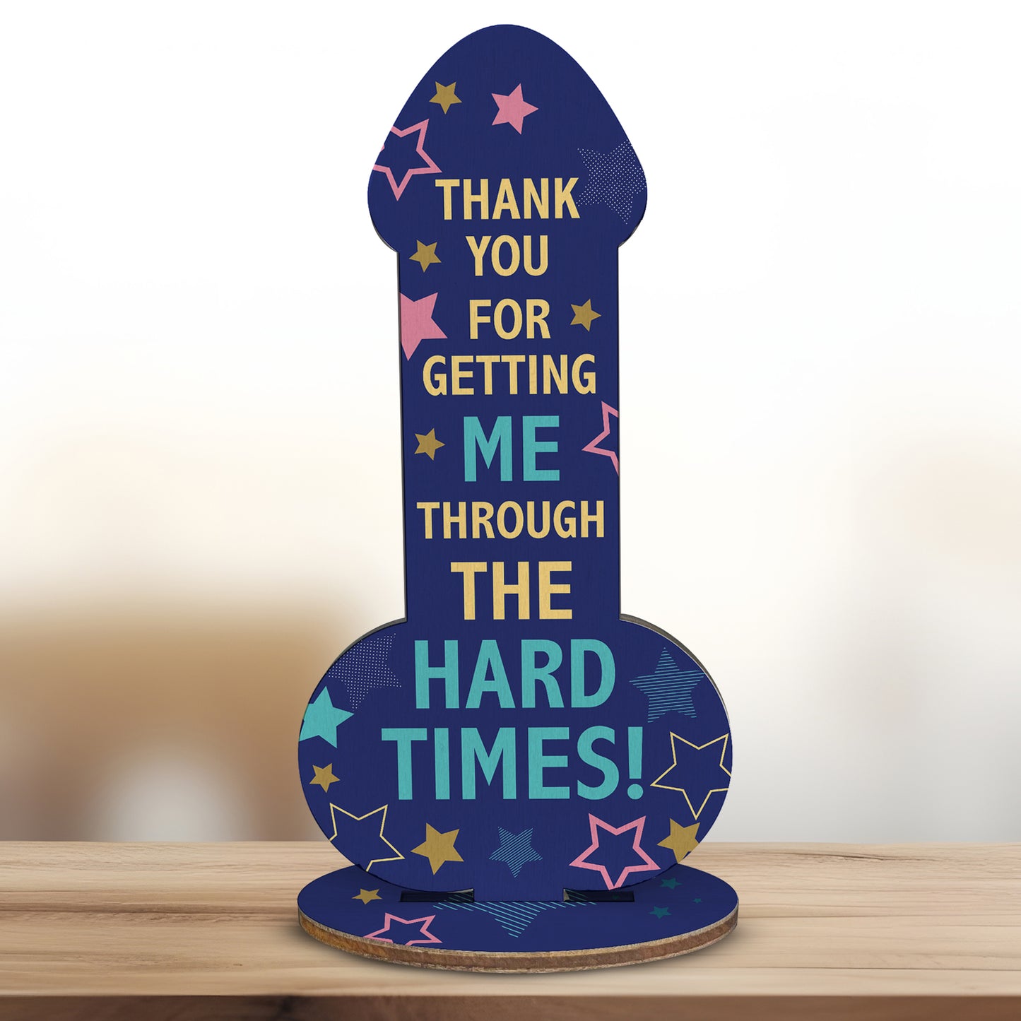 Funny Friendship Plaque Thank You Gift For Friend Novelty Rude
