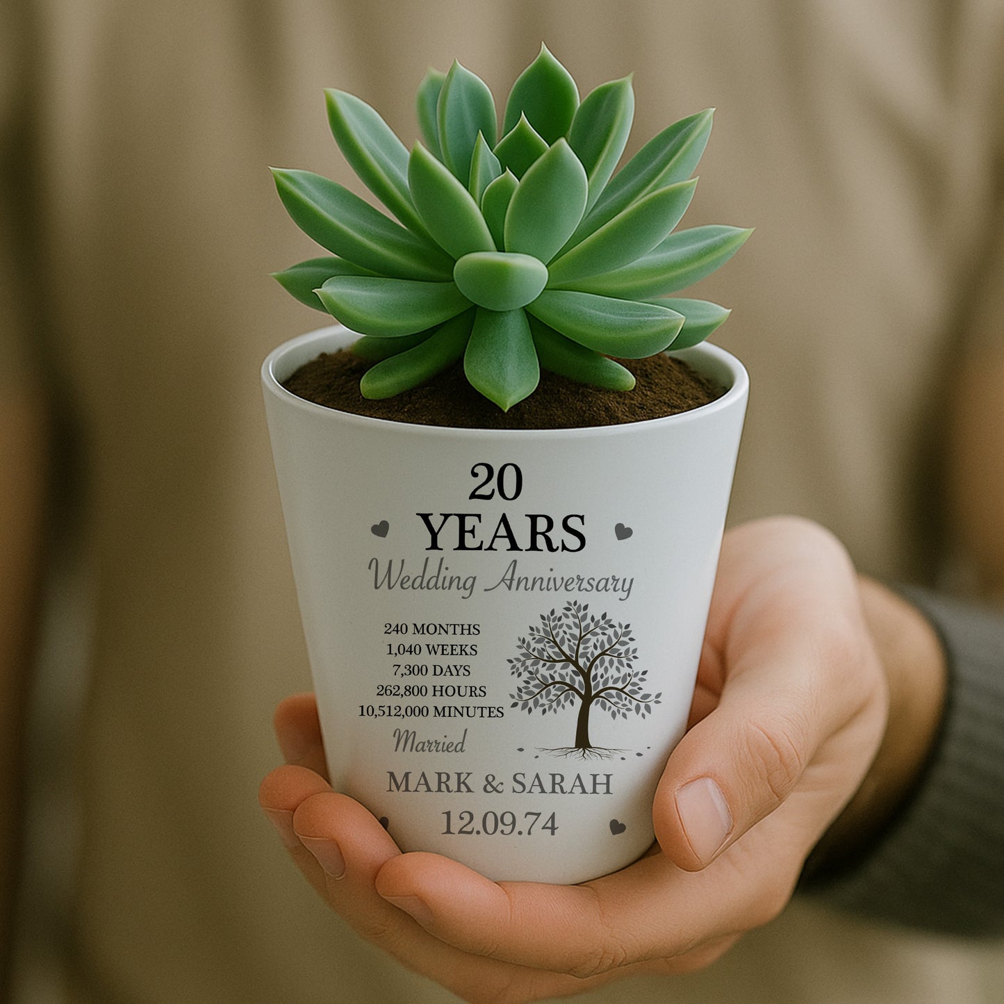 Personalised 20th Anniversary Gift Husband Wife Plant Pot