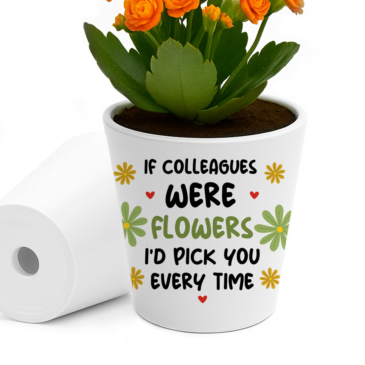 FUNNY GIFT For Colleague Plant Pot And Card Gift For Him Her