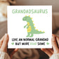 Grandad Birthday Card for Him Grandadsaurus Grandad Card