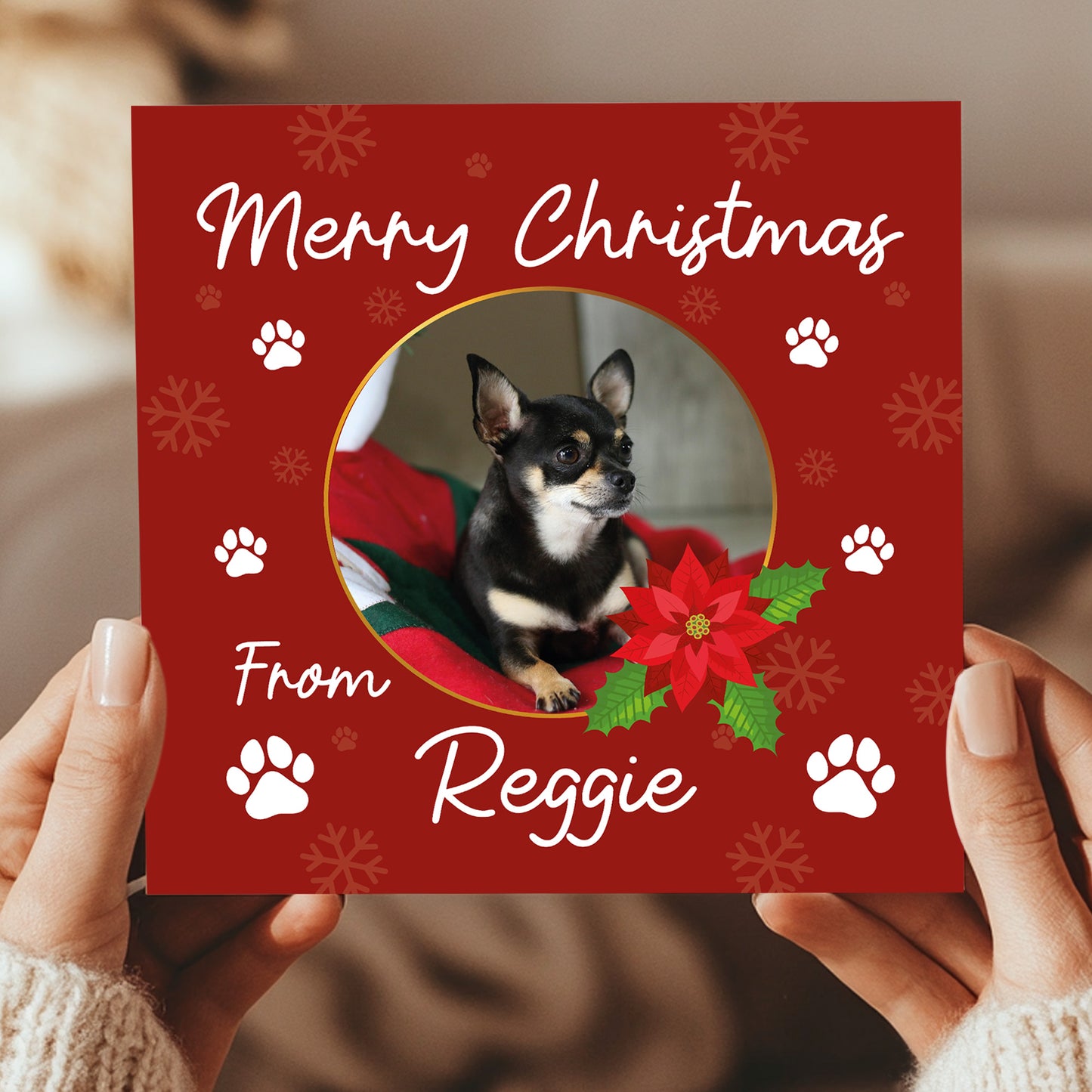 Novelty Christmas Card From The Dog Personalised Photo Card