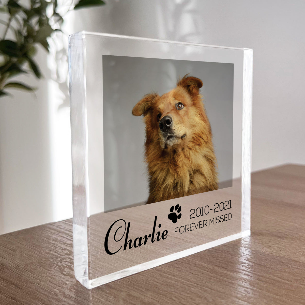 Special Memorial Gift For Pet Dog Memorail Cat Memorial Block