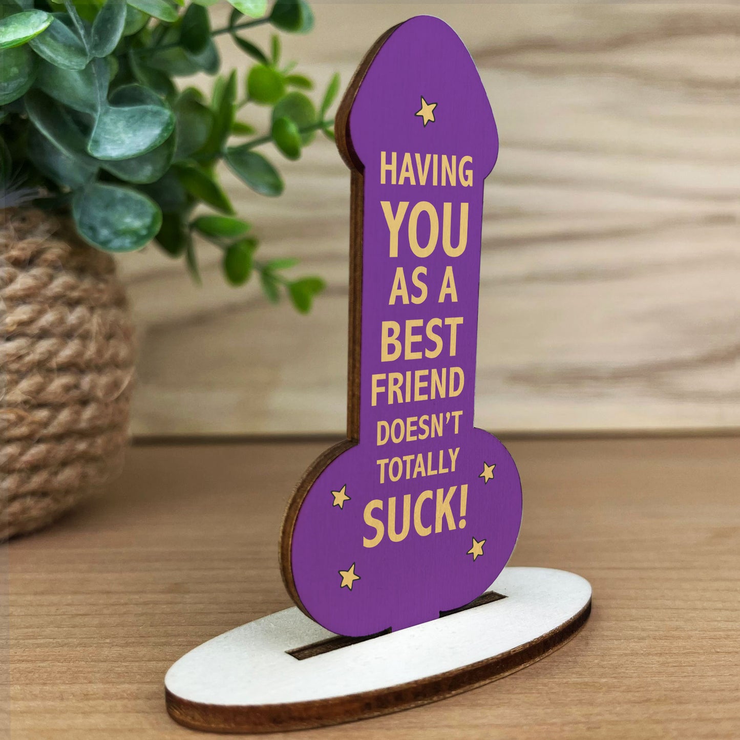 GIFT FOR BEST FRIEND Funny Best Friend Gift Her Birthday Gifts