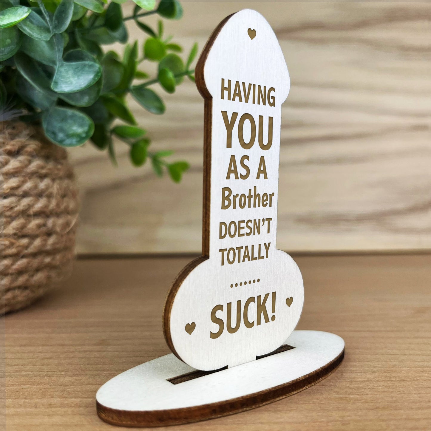 Novelty Gift For Brother Thank You Funny Christmas Birthday Gift