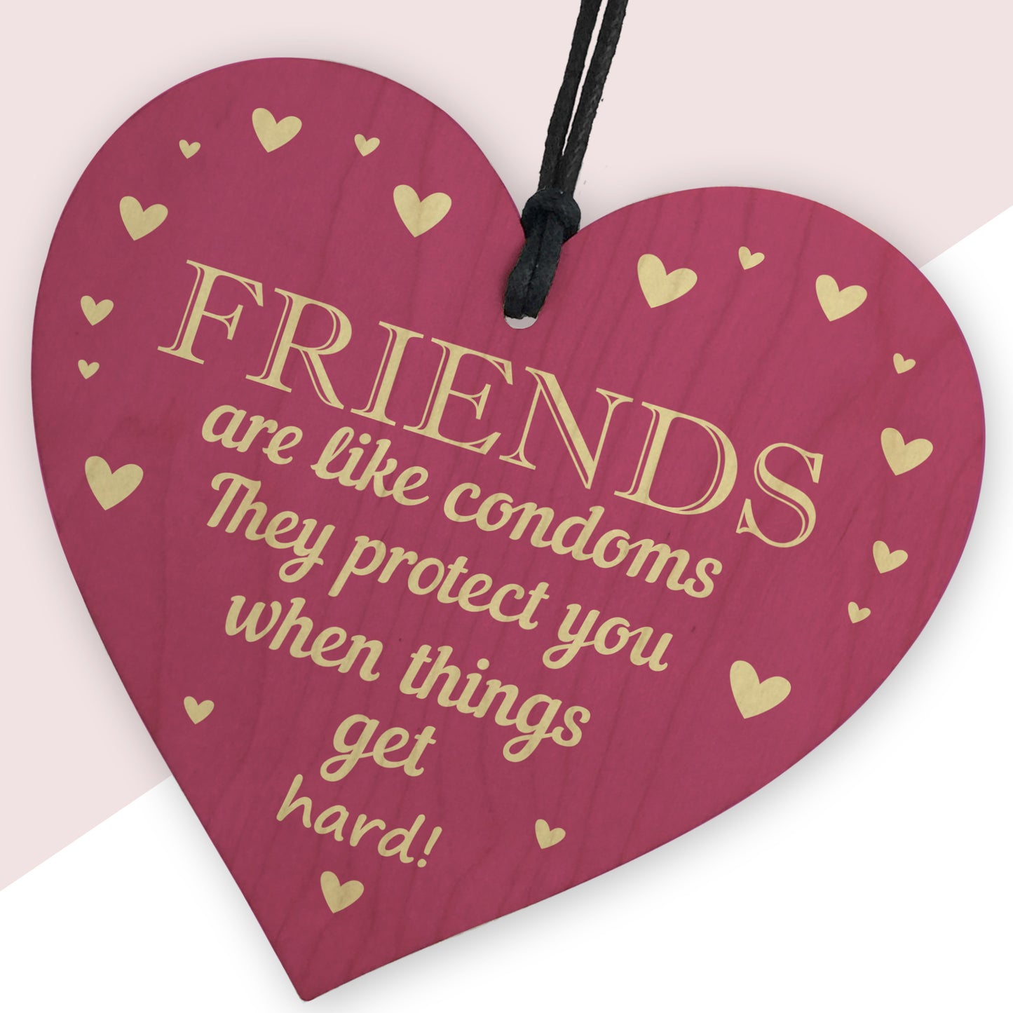 FUNNY HILARIOUS FRIENDSHIP SIGN Thank You Gift For Best Friend