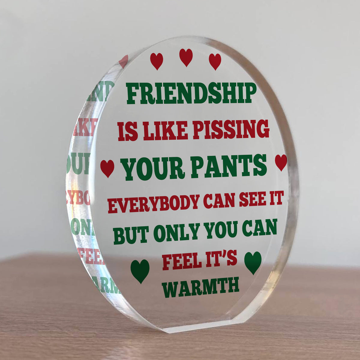 FUNNY Friendship Gift For Him Her Acrylic Plaque Special