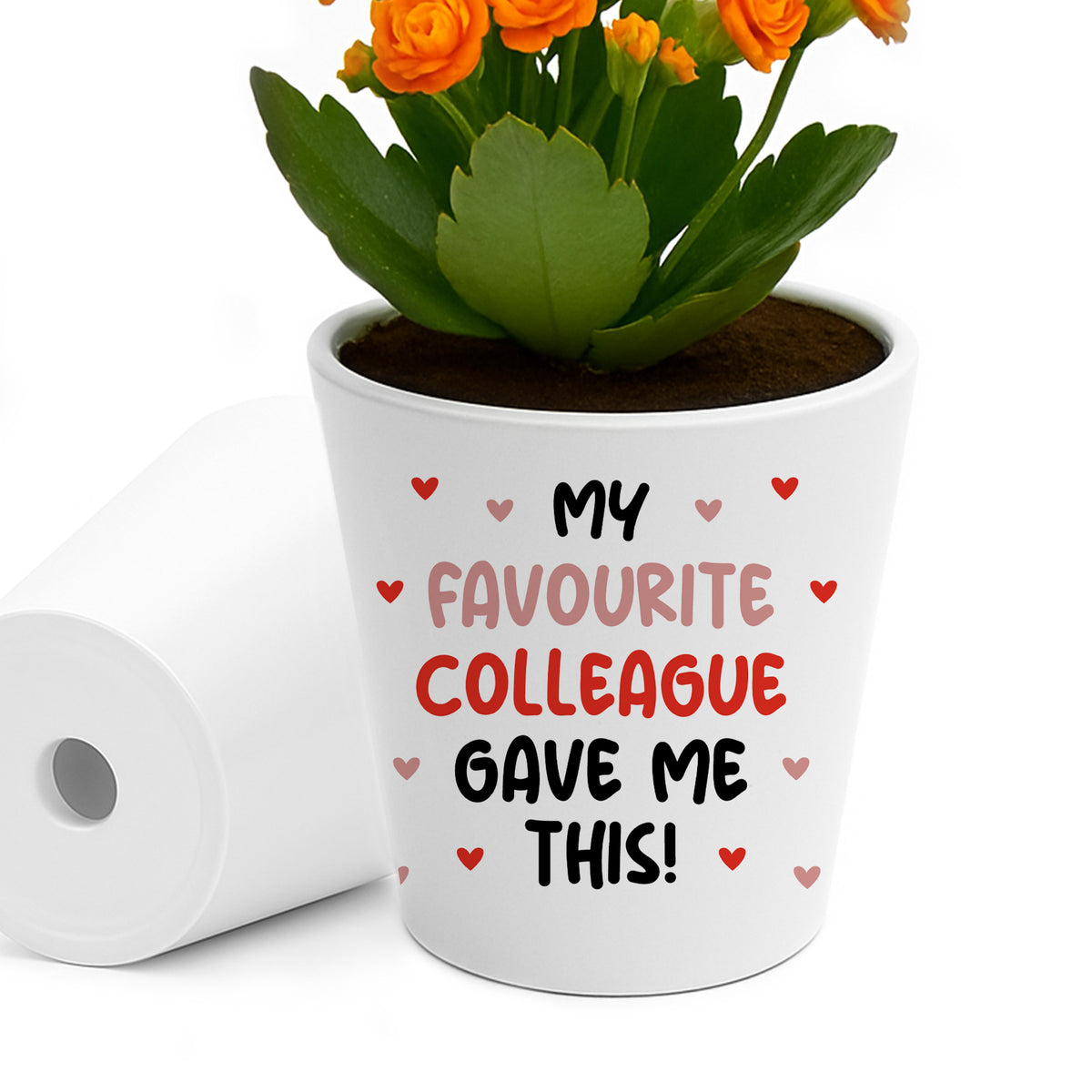 Gift For Colleague Funny Plant Pot And Card Gift For Him Her