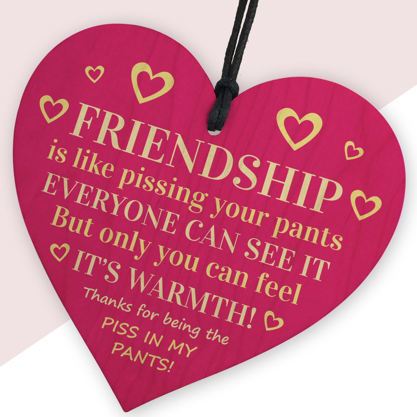 Funny Friendship Gift Plaque Best Friend Gifts For Her Bestie