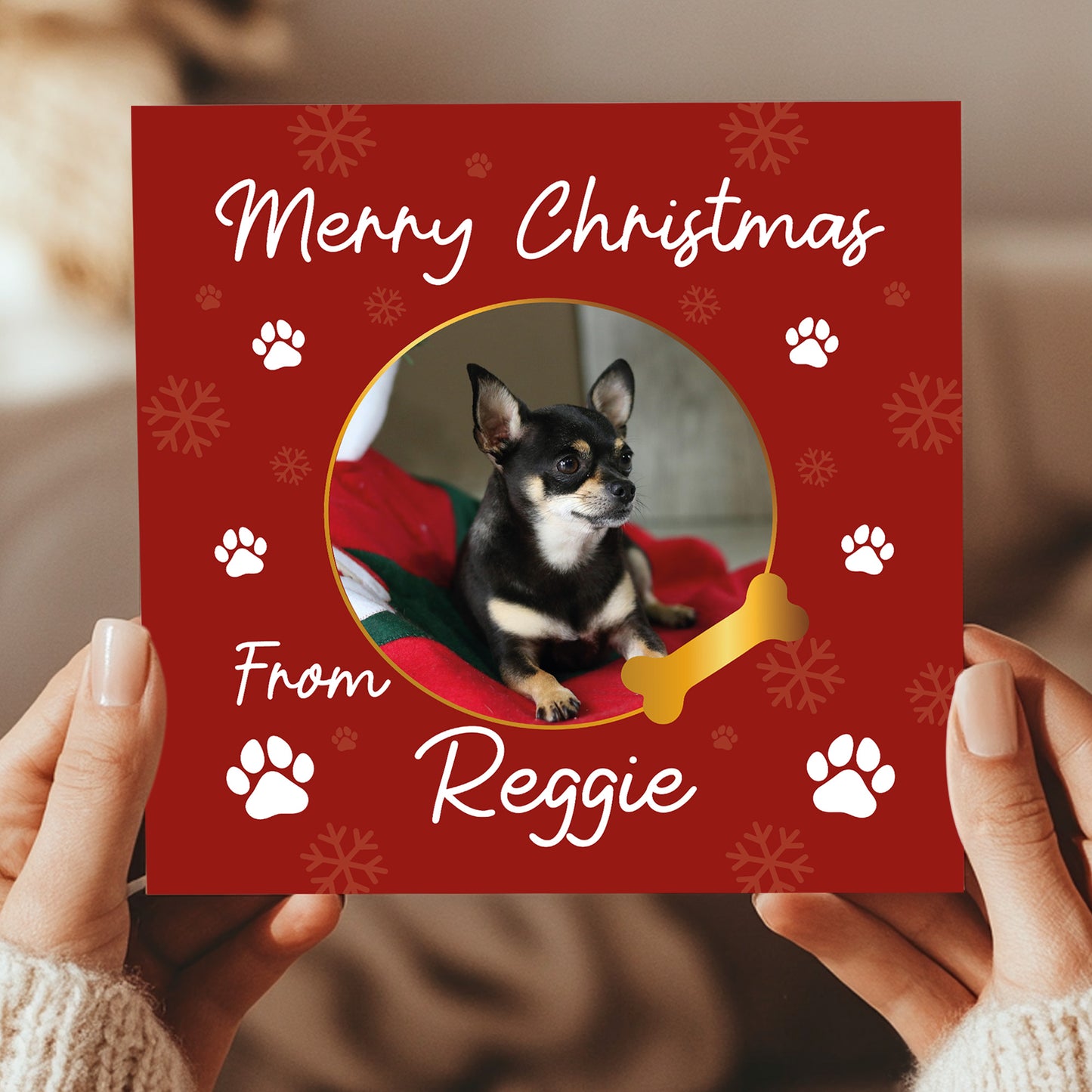Merry Christmas Card From The Dog Personalised Photo Card