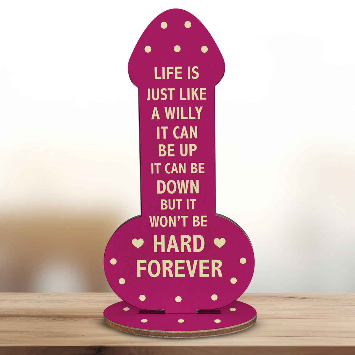 Joke Friendship Gift For Christmas Birthday Gift For Friend