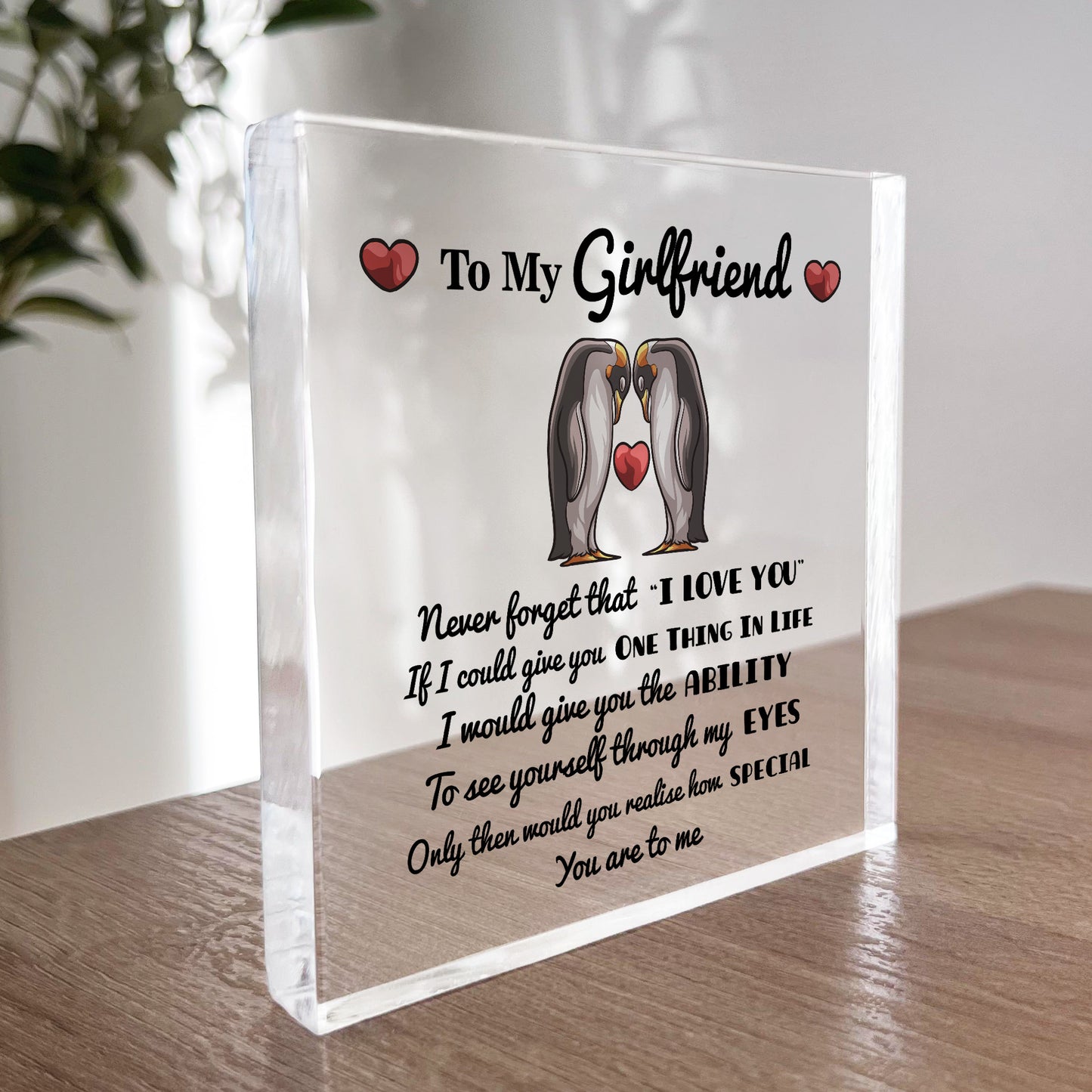 Valentines Day Gift For Girlfriend Never Forget That I Love You