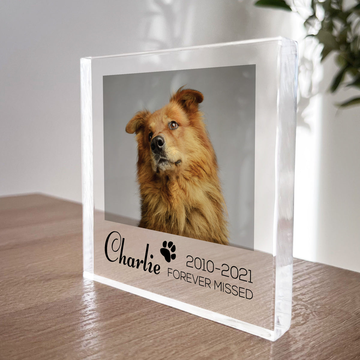 Special Memorial Gift For Pet Dog Memorail Cat Memorial Block