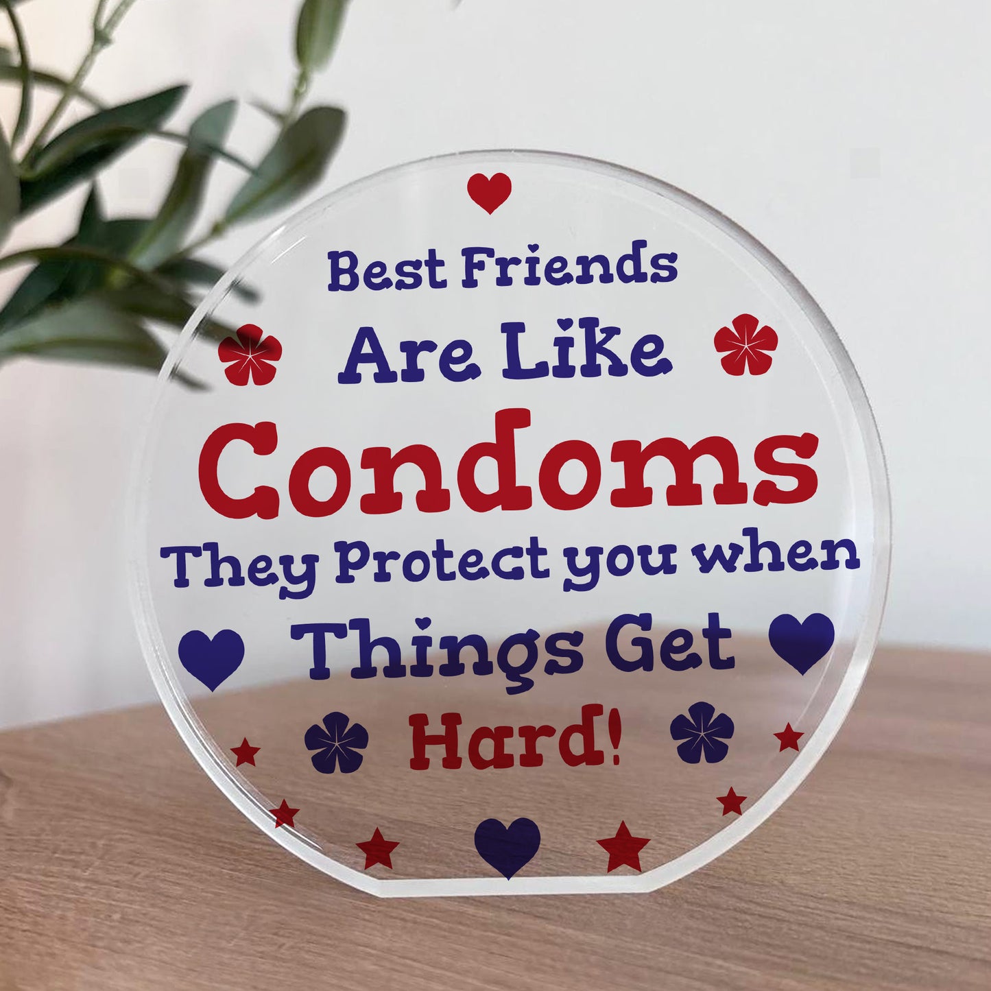 Funny Best Friend Gift Acrylic Plaque Funny Gift For Birthday
