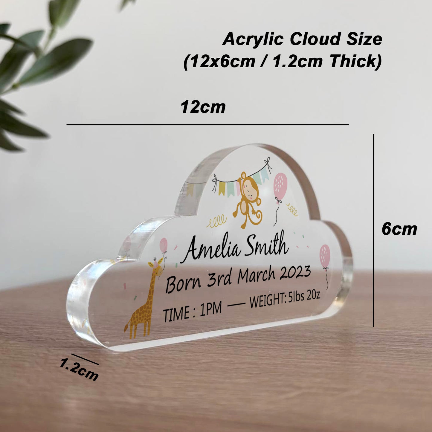 Personalised Baby Gift Standing Acrylic Plaque Birth Details