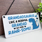 Rawrsome Grandad Gift For Birthday Fathers Day Gifts