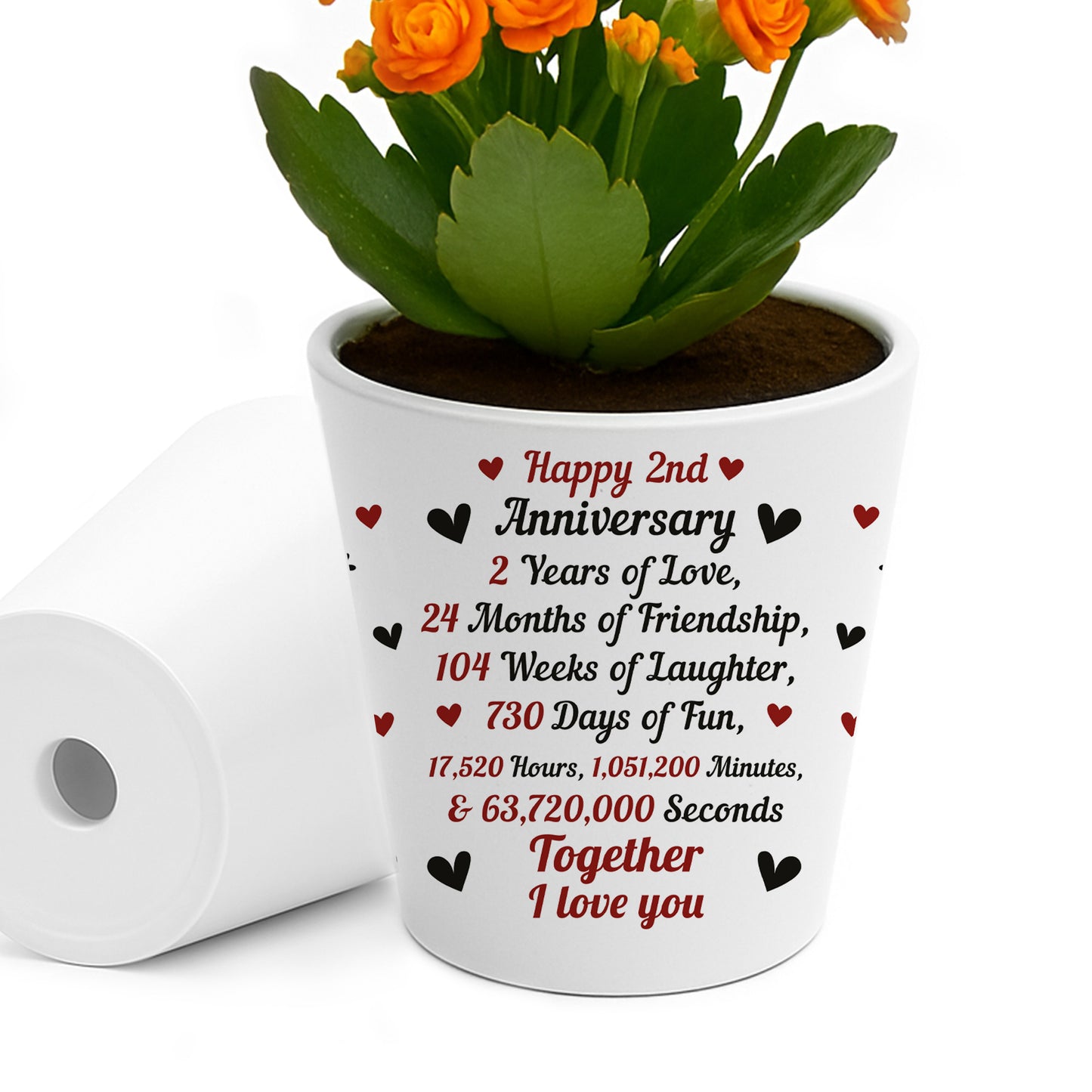 2nd Anniversary Present Gift Set Plant Pot and Card Second