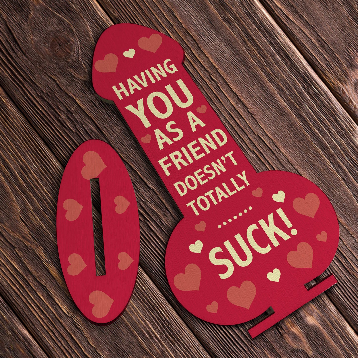Funny Rude Best Friend Plaque Novelty Friendship Gift For Women