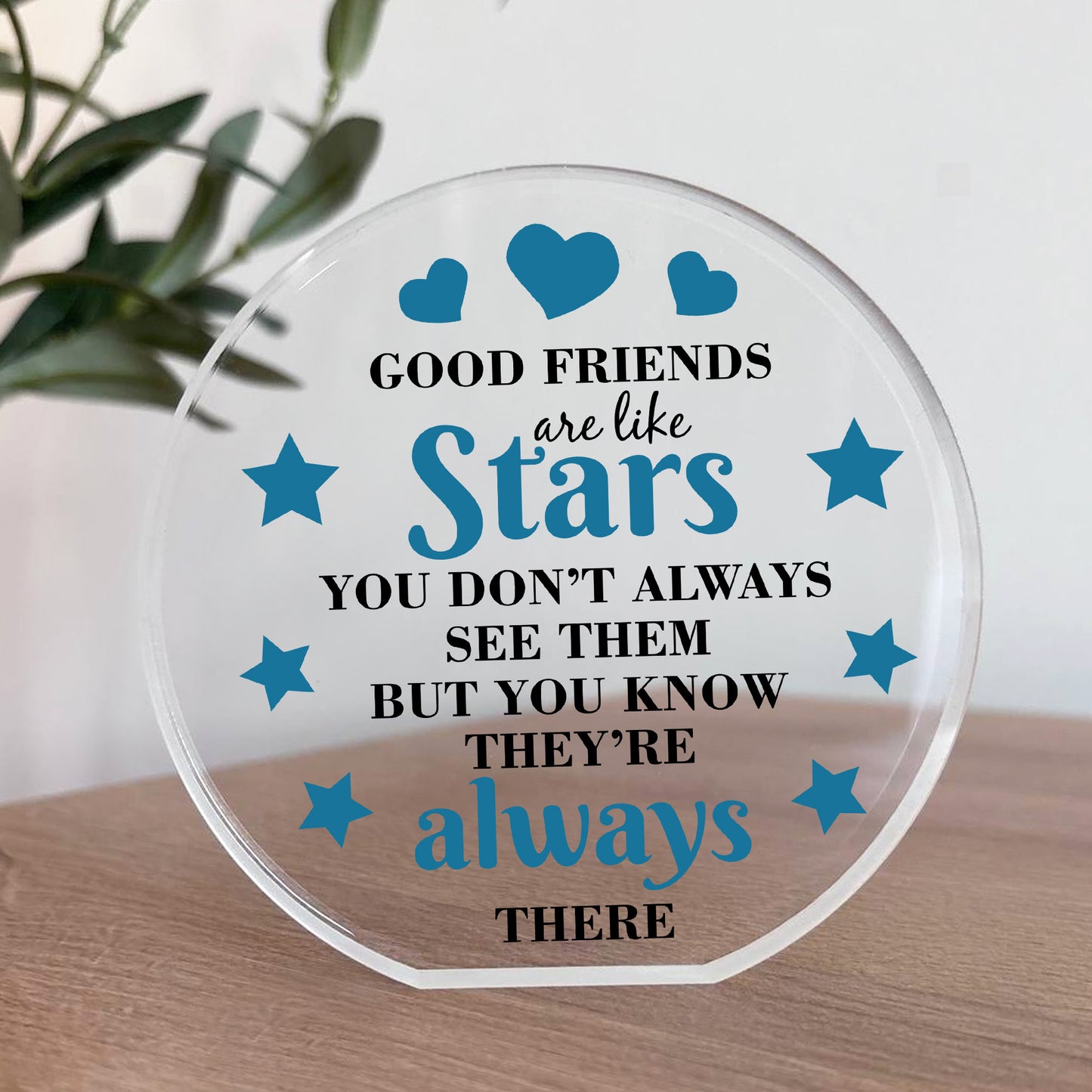 Good Friends Gift Ornament Sentimental Present Acrylic Plaque