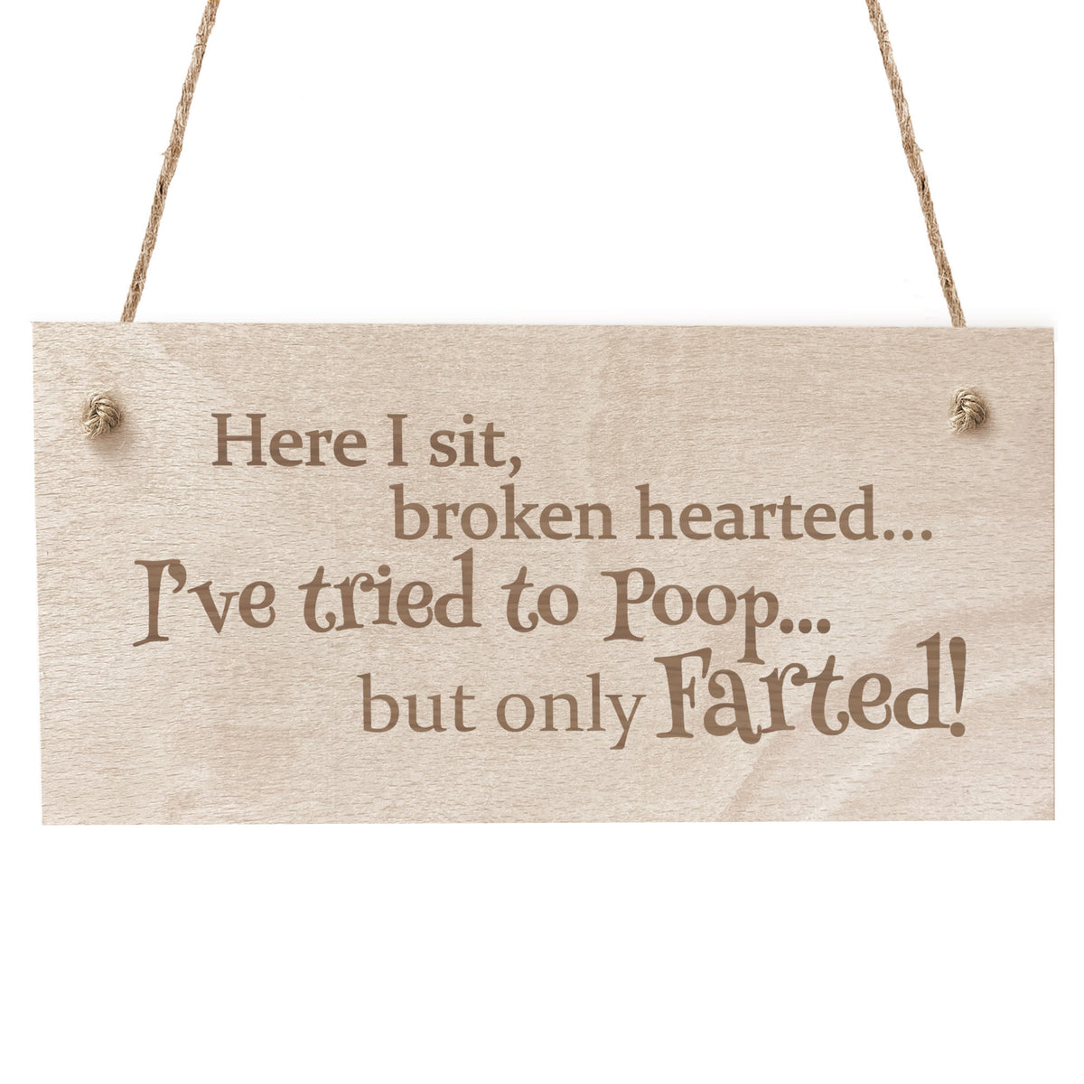 Funny Joke Engraved Wooden Toilet Bathroom Wall Sign Plaque