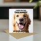 Funny Birthday Card For Him Hope You Feel This Happy Dog Card