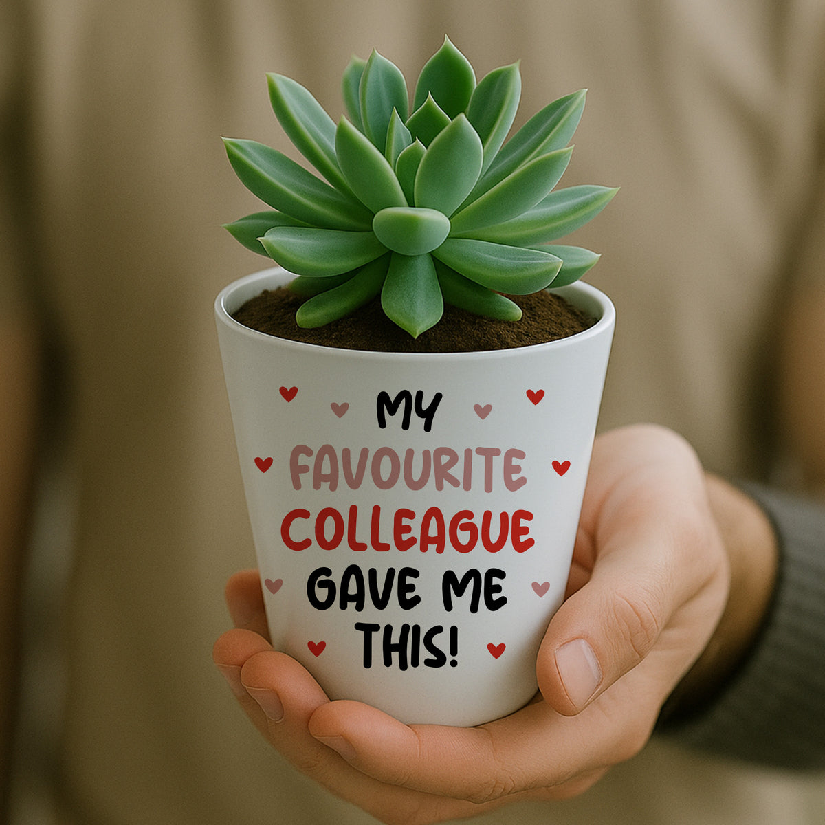 Gift For Colleague Funny Plant Pot And Card Gift For Him Her