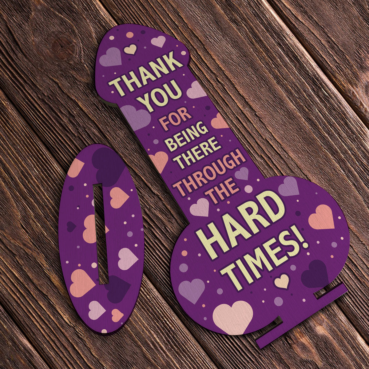 Funny Thank You Gift Rude Friendship Sign Joke Gift Best Friend
