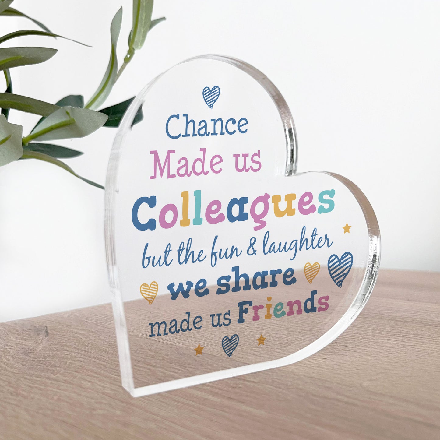 Funny Gift For Colleague For Biirthday Christmas Acrylic Plaque