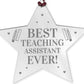 BEST TEACHING ASSISTANT EVER Gift Acrylic Hanging Star Teacher