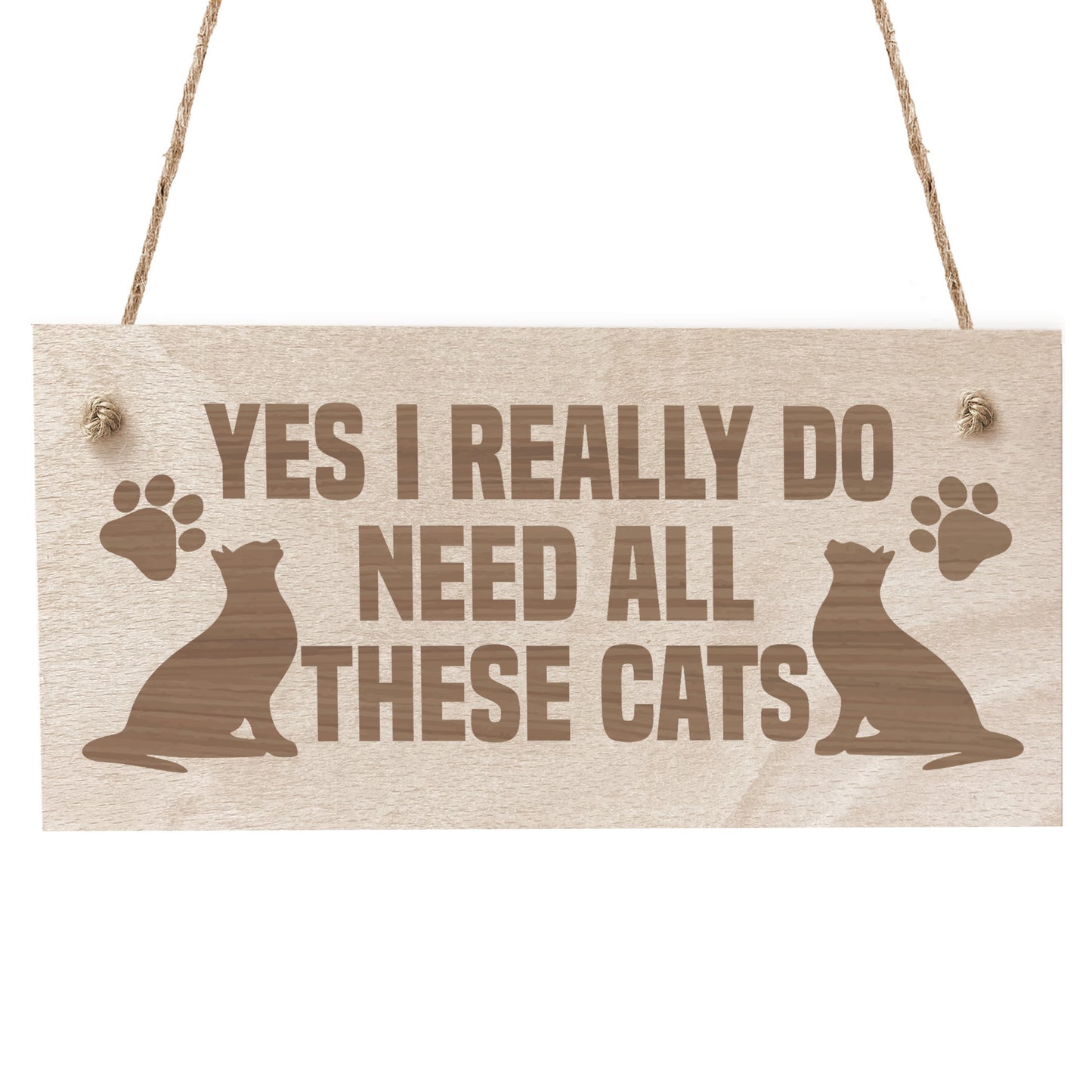 Funny Cat Signs Engraved Wooden Cat Plaque Gift For Cat Lover