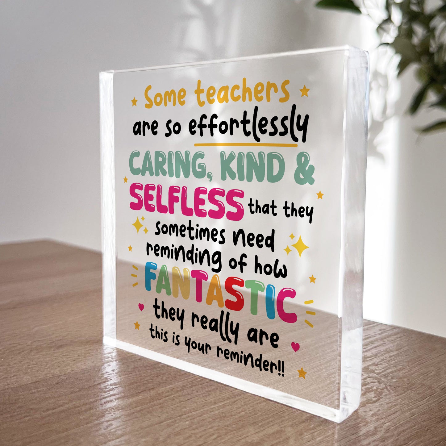 Reminder You Are A Fantastic Teacher Gift For Teacher End Term