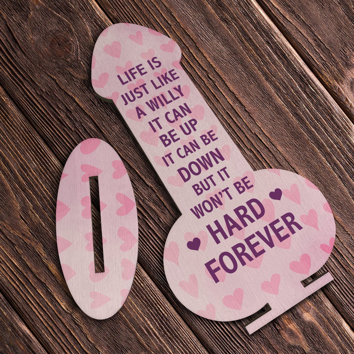 Funny Best Friend Sign Rude Friendship Gift For Him Her Novelty