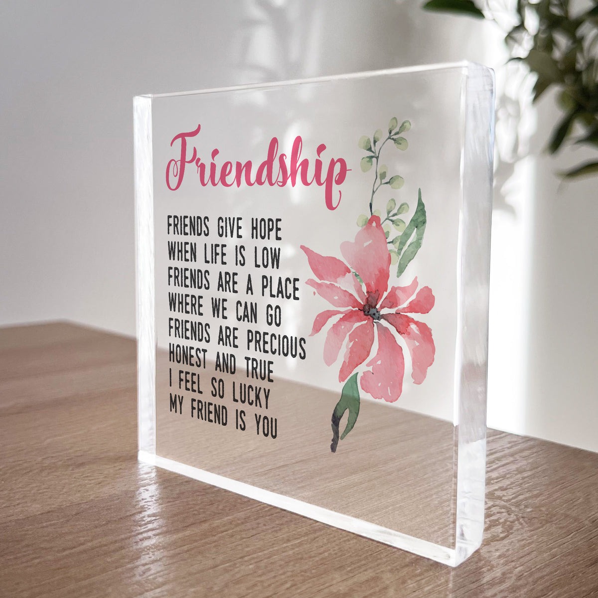 Gift For Best Friend Friendship Plaque Clear Block Best Friend