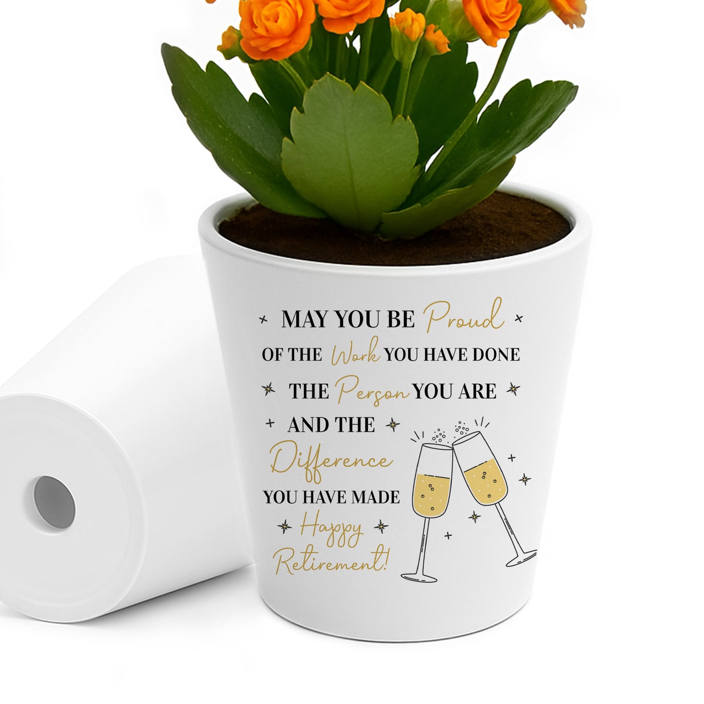 Retirement Gifts For Women Plant Pot and Card Congratulations