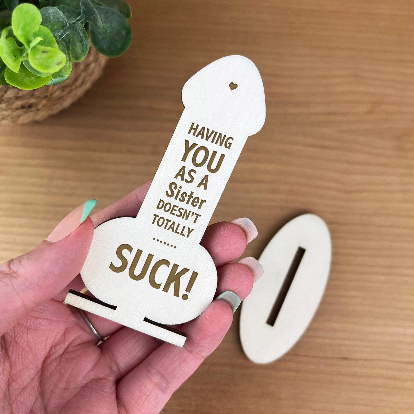 Funny Rude Gift For Sister Birthday Christmas Joke Gift For Her